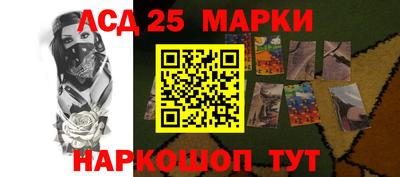 гидра Кандалакша