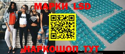 гидра Кандалакша
